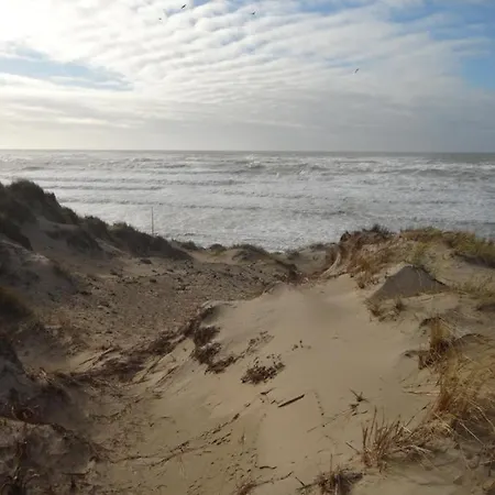 Serena La Foret Et La A Quelques Minutes! קאמייר