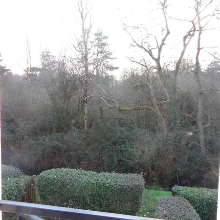 בית נופש Serena La Foret Et La A Quelques Minutes! *