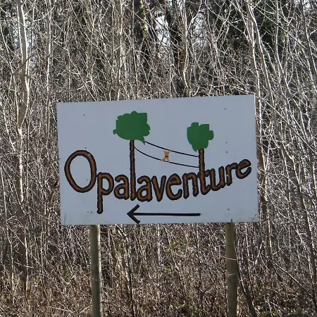 Serena La Foret Et La A Quelques Minutes! קאמייר