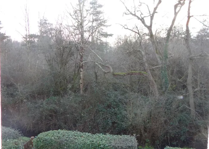 Casa de Férias Sérena La Forêt Et La à Quelques Minutes! *