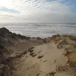 Serena La Foret Et La A Quelques Minutes! Camiers