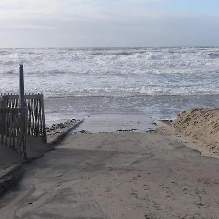 Hébergement de vacances Sérena La Forêt Et La à Quelques Minutes!