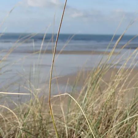 Semesterbostad Serena La Foret Et La A Quelques Minutes! *