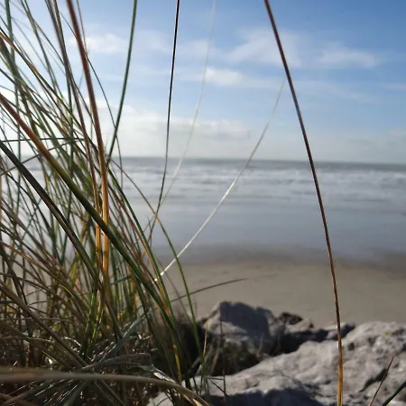 Serena La Foret Et La A Quelques Minutes!