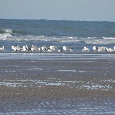 Sérena La Forêt Et La à Quelques Minutes! Hébergement de vacances Camiers