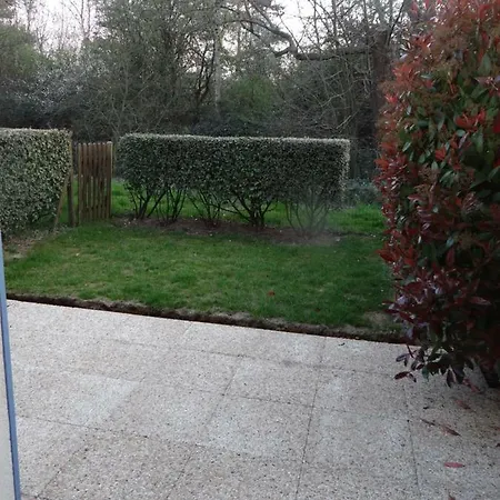 Serena La Foret Et La A Quelques Minutes! Holiday home